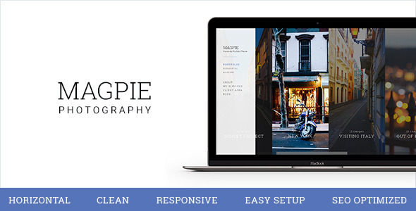 Preview of a photography focused WordPress theme