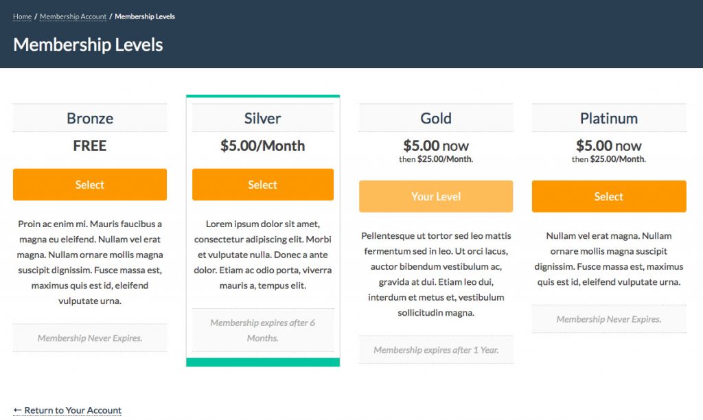 Preview of a membership plugin for WordPress