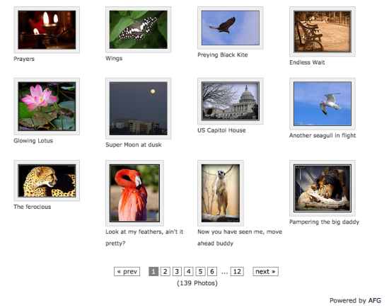 Awesome Flickr Gallery Plugin