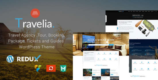 Travel Agency, Tour, Booking, Package, Tickets and Guides