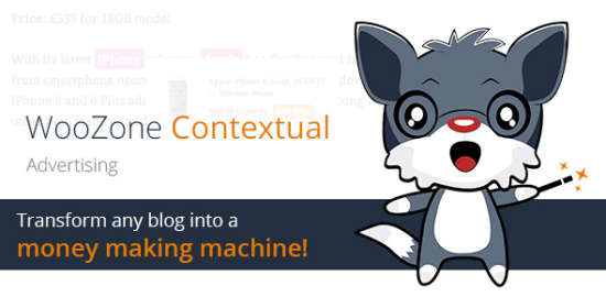Woozone Amazon Contextual Guidelines Plugin