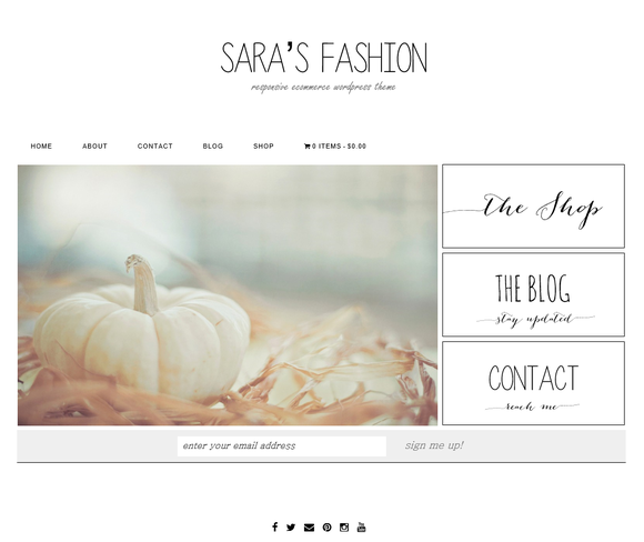 eCommerce WordPress theme