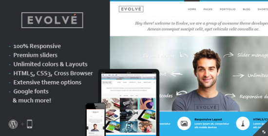 Evolve WordPress Theme