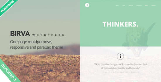 Birva WordPress Theme