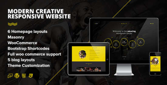 Salt WordPress Theme